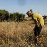 ...l� dove incontriamo Maria, intenta a sistemare alcune aste di legno e a curare instancabilmente la sua terra